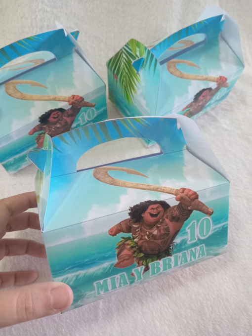 Bolsa Valijita - Imagen 2